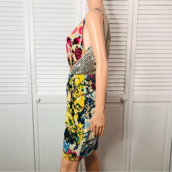 SACHIN + BABI For Ankasa Silk Printed Providence Dress Size 6 - Picture 4 of 11